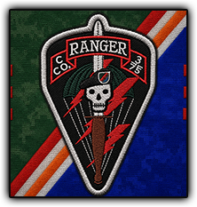 Unit Insignia